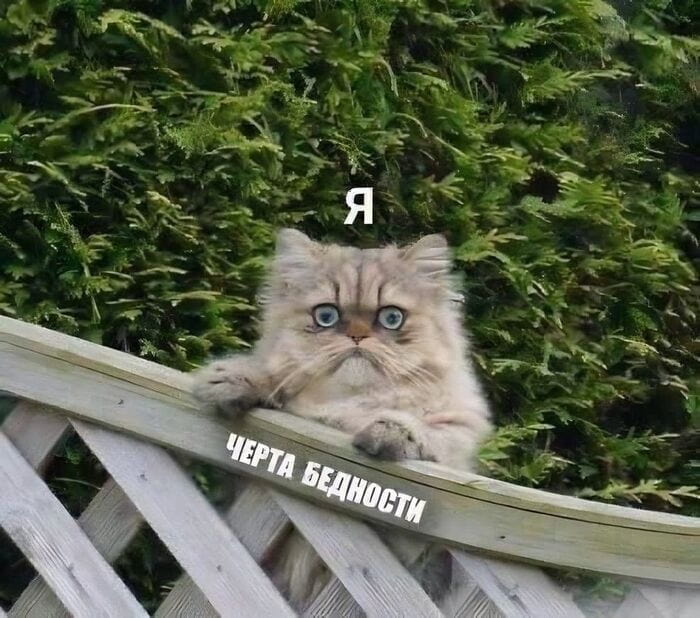 ЧЕРТА БЕДНОСТИ
