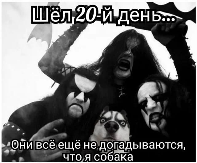 Шёл 20-й день…
Они всё ещё не догадываются, что я собака

Описание картинки:
Задумчивая собака, сидящая как человек, с подписью о маскировке.
