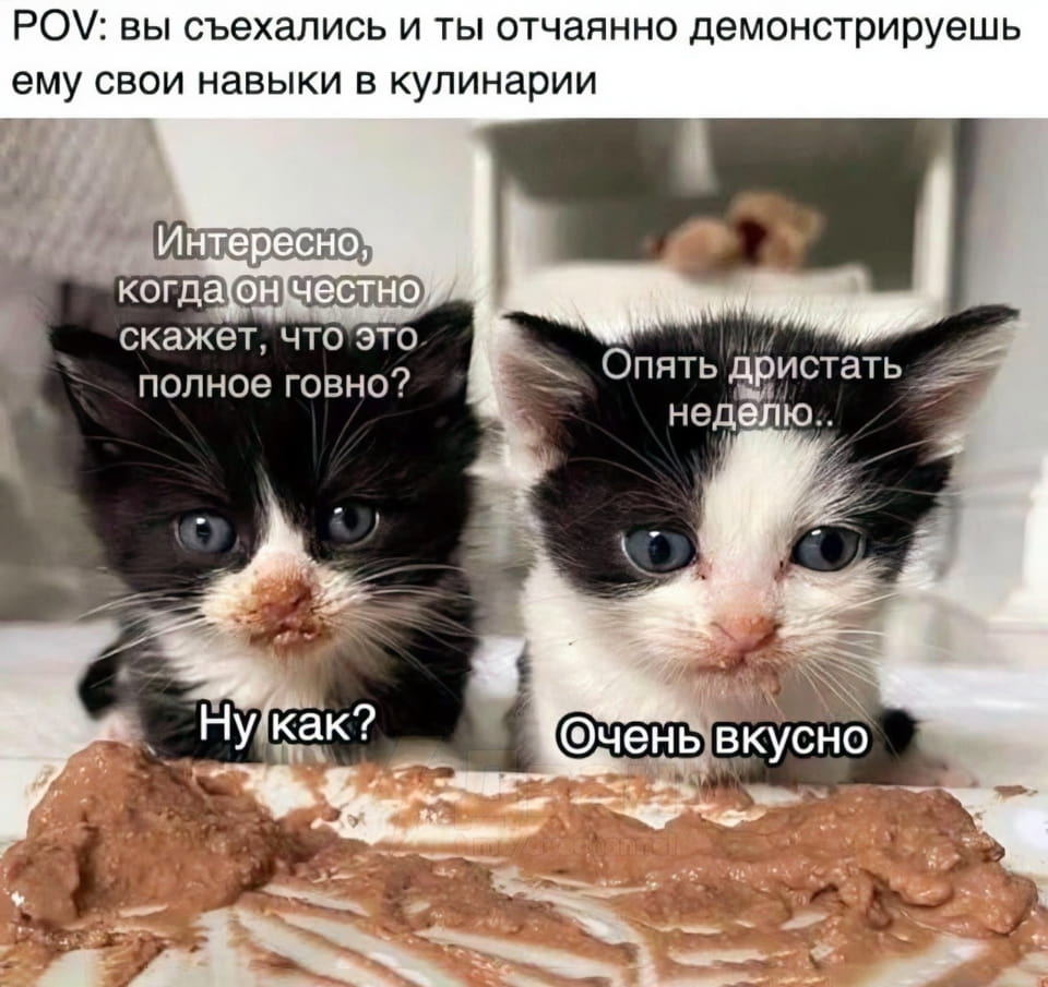 POV: вы съехались и ты отчаянно демонстрируешь ему свои навыки в кулинарии Интересно, когда он честно скажет, что это полное говно?
Опять дристать неделю..
Ну как?
Очень вкусно

Описание картинки:
Переписка о кулинарных навыках девушки и реакции парня.