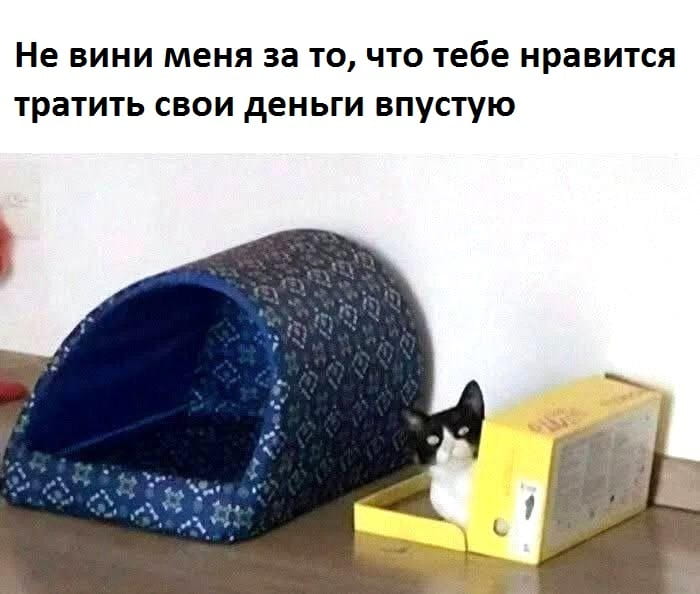 Не вини меня за то, что тебе нравится тратить свои деньги впустую

Описание картинки:
Человек, оправдывающий свои финансовые привычки.