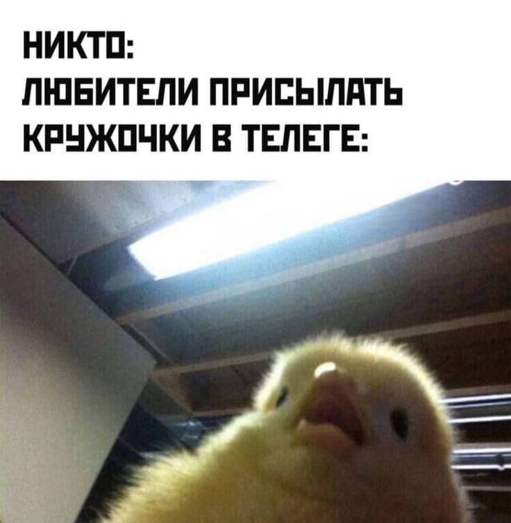 НИКТО:
ЛЮБИТЕЛИ ПРИСЫЛАТЬ КРУЖОЧКИ В ТЕЛЕГЕ:

Описание картинки:
Классический мем «НИКТО: ЛЮБИТЕЛИ ПРИСЫЛАТЬ КРУЖОЧКИ В ТЕЛЕГЕ: