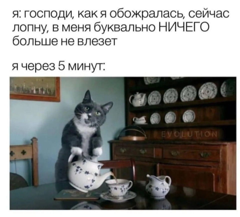 Я: господи, как я обожралась, сейчас лопну, в меня буквально НИЧЕГО больше не влезет я через 5 минут:
EVOLUTION

Описание картинки:
Текст: «я: господи, как я обожралась, сейчас лопну, в меня буквально НИЧЕГО больше не влезет я через 5 минут: EVOLUTION