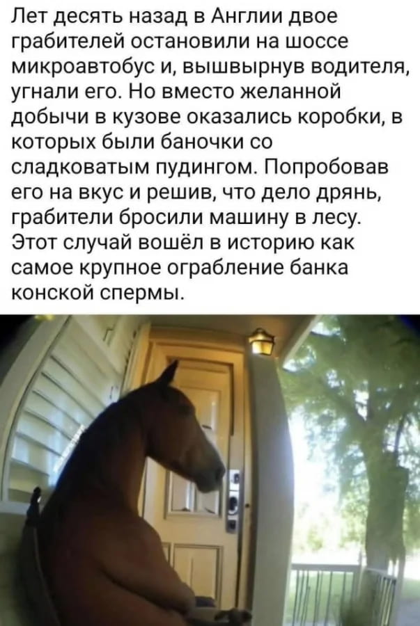 Лет десять назад в Англии двое грабителей остановили на шоссе микроавтобус и, вышвырнув водителя, угнали его. Но вместо желанной добычи в кузове оказались коробки, в которых были баночки со сладковатым пудингом. Попробовав его на вкус и решив, что дело дрянь, грабители бросили машину в лесу. Этот случай вошёл в историю как самое крупное ограбление банка конской спермы. <br /><br /> Описание картинки: <br /> Грабители угоняют микроавтобус с «пудингом» из сперма-банка.
