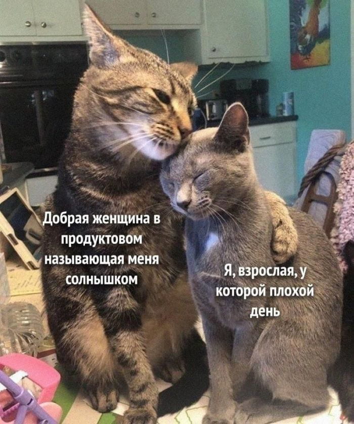 Добрая женщина в продуктовом называющая меня солнышком Я, взрослая, у которой плохой день

Описание картинки:
Взрослая женщина реагирует на комплимент продавца.