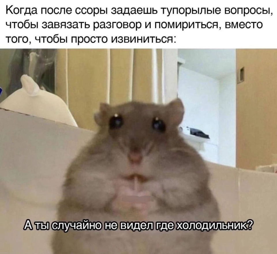 Когда после ссоры задаешь тупорылые вопросы, чтобы завязать разговор и помириться, вместо того, чтобы просто извиниться:
А ты случайно не видел где холодильник?

Описание картинки:
Человек задает абсурдный вопрос после ссоры, чтобы помириться.