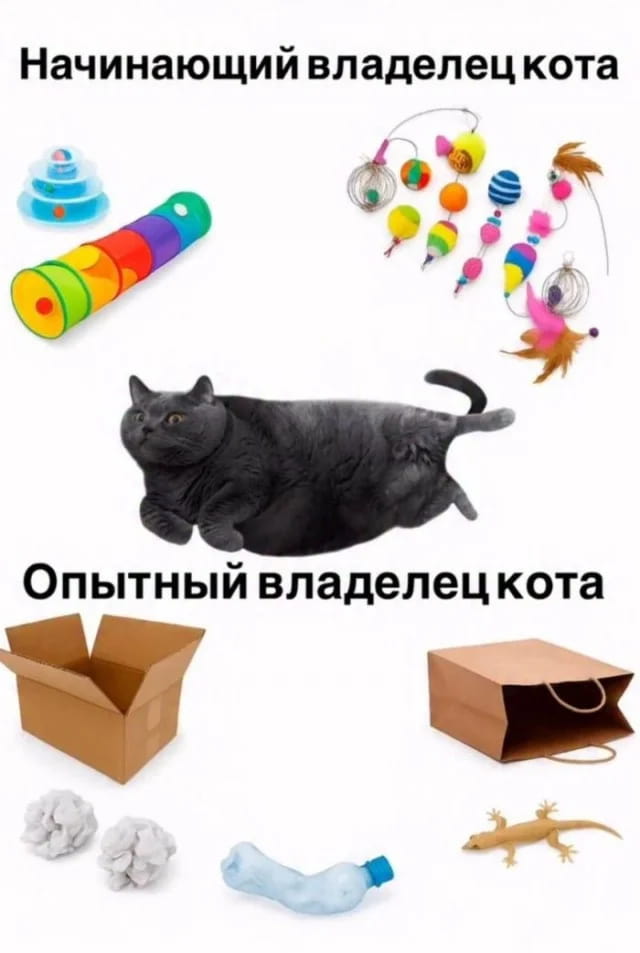 Начинающий владелец кота Опытный владелец кота

Описание картинки:
Сравнение реакции начинающего и опытного владельца кота на его проделки.