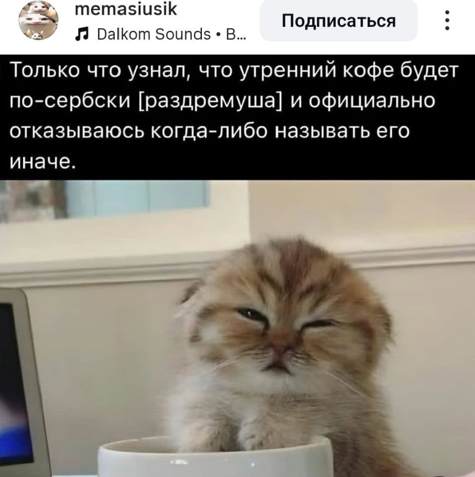 Memasiusik Dalkom Sounds • B…
Только что узнал, что утренний кофе будет по-сербски [раздремуша] и официально отказываюсь когда-либо называть его иначе.

Описание картинки:
Текст о названии утреннего кофе, которое теперь «раздремуша