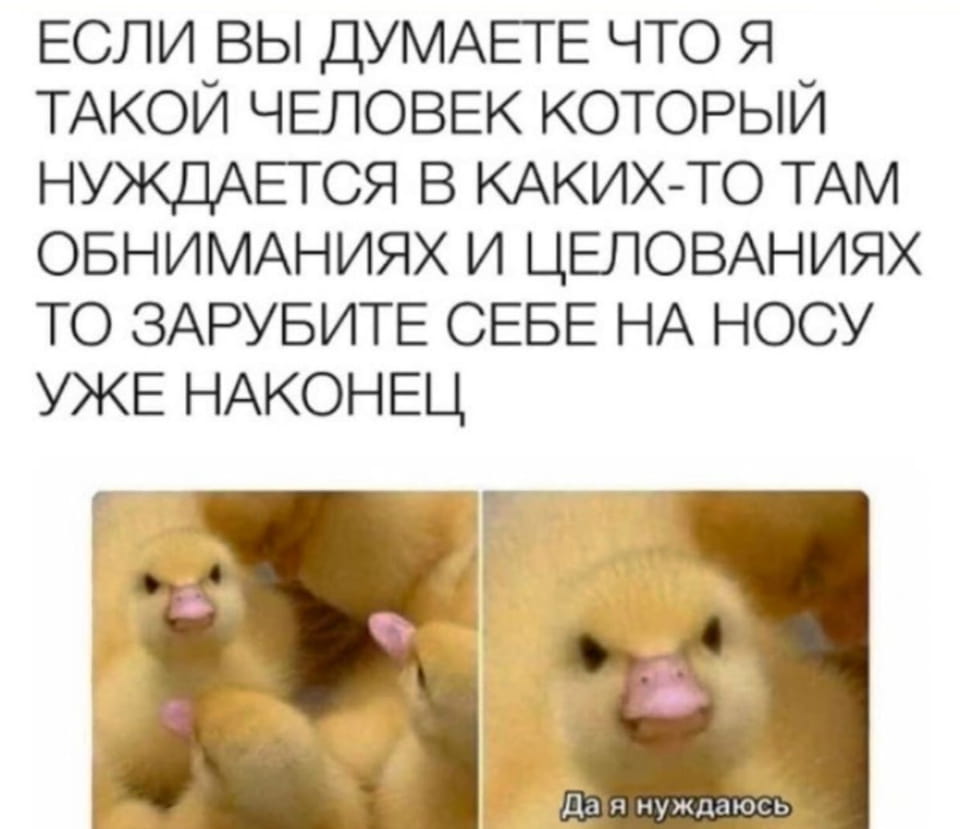 ЕСЛИ ВЫ ДУМАЕТЕ ЧТО Я ТАКОЙ ЧЕЛОВЕК КОТОРЫЙ НУЖДАЕТСЯ В КАКИХ-ТО ТАМ ОБНИМАНИЯХ И ЦЕЛОВАНИЯХ ТО ЗАРУБИТЕ СЕБЕ НА НОСУ УЖЕ НАКОНЕЦ Да я нуждаюсь

Описание картинки:
Текст, где человек сначала отрицает потребность в ласке, а потом признаётся.
