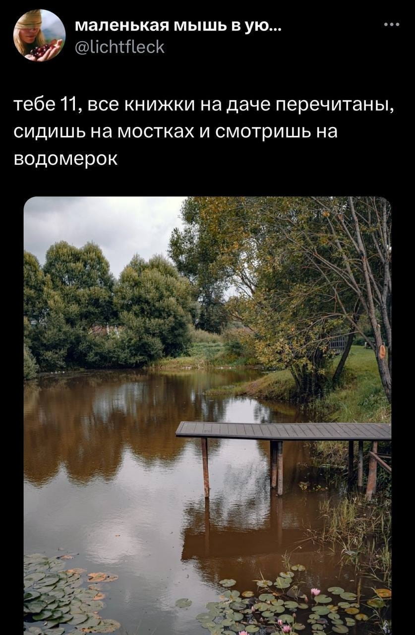 Маленькая мышь в ую…
Тебе 11, все книжки на даче перечитаны, сидишь на мостках и смотришь на водомерок

Описание картинки:
Мышь в уюте, девочка смотрит на водомерок на даче.
