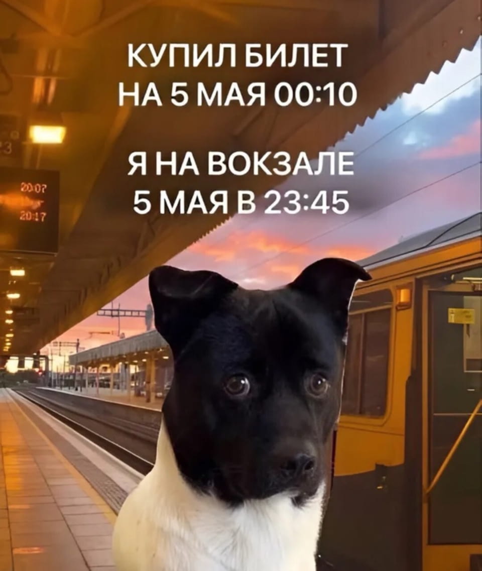 КУПИЛ БИЛЕТ НА 5 МАЯ 00:10 Я НА ВОКЗАЛЕ 5 МАЯ В 23:45

Описание картинки:
Текст про покупку билета на поезд и приезд на вокзал.