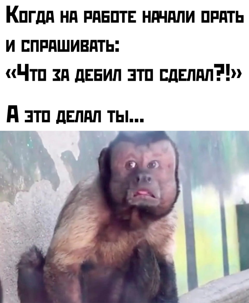 КОГДА НА РАБОТЕ НАЧАЛИ ОРАТЬ И СПРАШИВАТЬ:<br>«ЧТО ЗА ДЕБИЛ ЭТО СДЕЛАЛ?!» А ЭТО ДЕЛАЛ ТЫ…<br><br>Описание картинки:<br>Текст: реакция на вопрос «Что за дебил это сделал?» и осознание.