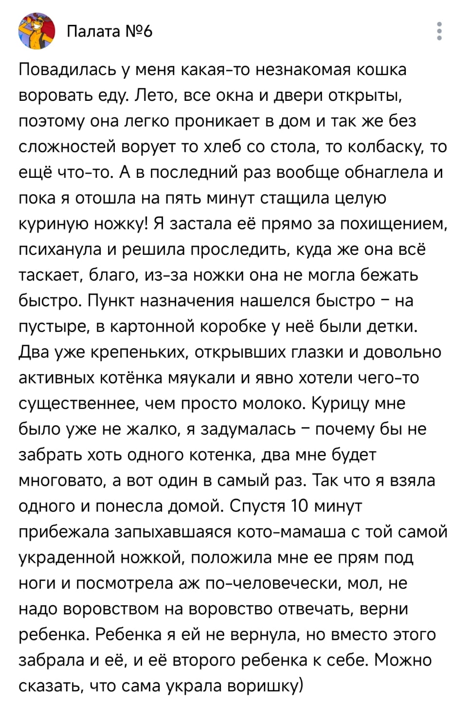 Повадилась у меня какая-то незнакомая кошка воровать еду. Лето, все окна и двери открыты, поэтому она легко проникает в дом и так же без сложностей ворует то хлеб со стола, то колбаску, то ещё что-то. А в последний раз вообще обнаглела и пока я отошла на пять минут стащила целую куриную ножку! Я застала её прямо за похищением, психанула и решила проследить, куда же она всё таскает, благо, из-за ножки она не могла бежать быстро. Пункт назначения нашёлся быстро — на пустыре, в картонной коробке у неё были детки. Два уже крепеньких, открывших глазки и довольно активных котёнка мяукали и явно хотели чего-то существенного, чем просто молоко. Курицу мне было уже не жалко, я задумалась — почему бы не забрать хоть одного котёнка, два мне будет многовато, а вот один в самый раз. Так что я взяла одного и понесла домой. Спустя 10 минут прибежала запыхавшаяся кото-мамаша с той самой украденной ножкой, положила мне её прям под ноги и посмотрела аж по-человечески, мол, не надо воровством на воровство отвечать, верни ребёнка. Ребёнка я ей не вернула, но вместо этого забрала и её, и её второго ребёнка к себе. Можно сказать, что сама украла воришку)

Описание картинки:
Текст о женщине, которая забрала к себе кошку-воришку и её котят