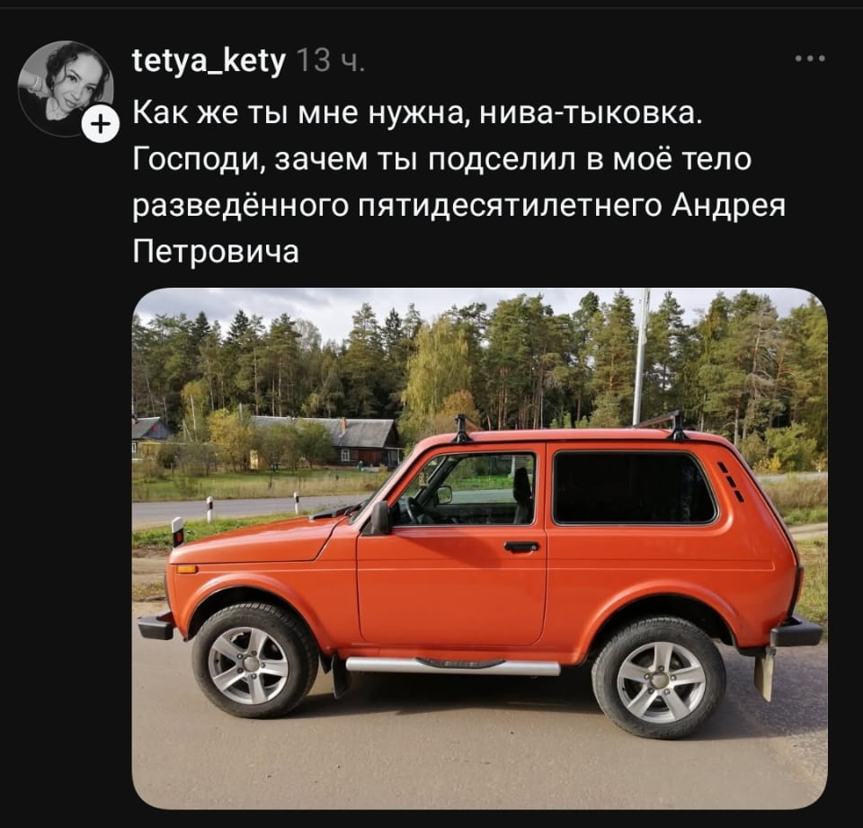 Как же ты мне нужна, нива-тыкковка. Господи, зачем ты подселил в моё тело разведённого пятидесятилетнего Андрея Петровича <br /><br /> Описание картинки: <br /> Разговор о том, как жизнь с разведённым мужчиной.