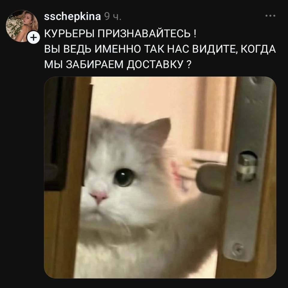 КУРЬЕРЫ ПРИЗНАВАЙТЕСЬ! ВЫ ВЕДЬ ИМЕННО ТАК НАС ВИДИТЕ, КОГДА МЫ ЗАБИРАЕМ ДОСТАВКУ?

Описание картинки:
Курьер глазами клиента, ожидающего у двери.