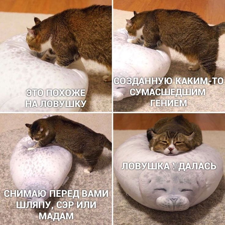 ЭТО ПОХОЖЕ НА ЛОВУШКУ СОЗДАННУЮ КАКИМ-ТО СУМАШЕДШИМ ГЕНИЕМ СНИМАЮ ПЕРЕД ВАМИ ШЛЯПУ, СЭР ИЛИ МАДАМ ЛОВУШКА! ДАЛАСЬ <br /><br /> Описание картинки: <br /> Текст о ловушке сумасшедшего гения, заканчивающийся фразой «Далась