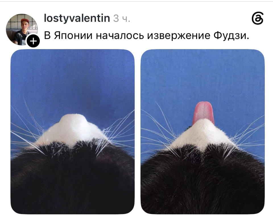 В Японии началось извержение Фудзи.

Описание картинки:
Фудзи решил сбросить лишний вес через извержение.