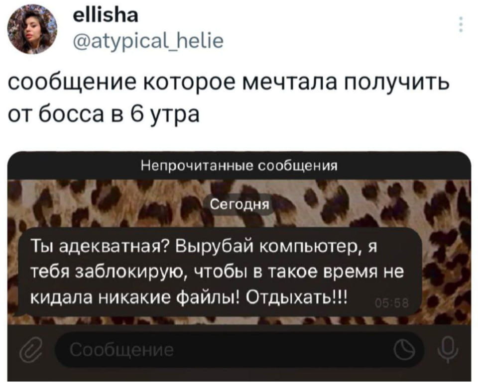 Сообщение которое мечтала получить от босса в 6 утра Ты адекватная? Вырубай компьютер, я тебя заблокирую, чтобы в такое время не кидала никакие файлы! Отдыхать!!!

Описание картинки:
Сообщение от босса в 6 утра — лучшее утреннее «отдыхай»!