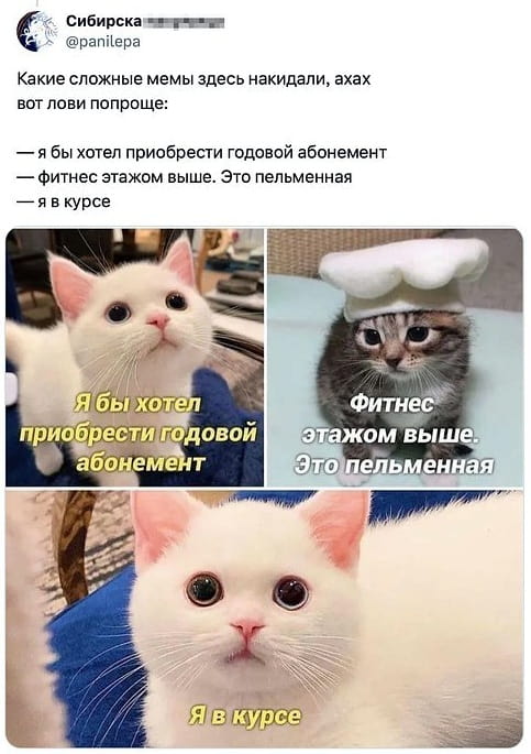 Какие сложные мемы здесь накидали, ахах вот лови попроще:
— Я бы хотел приобрести годовой абонемент
— Фитнес этажом выше. Это пельменная
— Я в курсе
— Я бы хотел приобрести годовой абонемент Фитнес этажом выше. Это пельменная Я в курсе

Описание картинки:
Главное — выбрать правильный путь к цели!