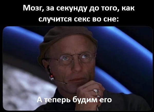 Мозг, за секунду до того, как случится секс во сне: <br /> А теперь будем его <br /><br /> Описание картинки: <br /> Текстовая запись с репликой мозга перед сном.