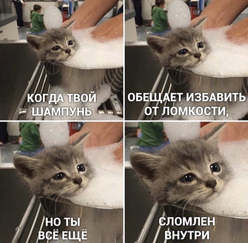 КОГДА ТВОЙ ШАМПУНЬ ОБЕЩАЕТ ИЗБАВИТЬ ОТ ЛОМКОСТИ, НО ТЫ ВСЁ ЕЩЁ СЛОМЛЕН ВНУТРИ

Описание картинки:
Текст: КОГДА ТВОЙ ШАМПУНЬ ОБЕЩАЕТ ИЗБАВИТЬ ОТ ЛОМКОСТИ, НО ТЫ ВСЁ ЕЩЁ СЛОМЛЕН ВНУТРИ