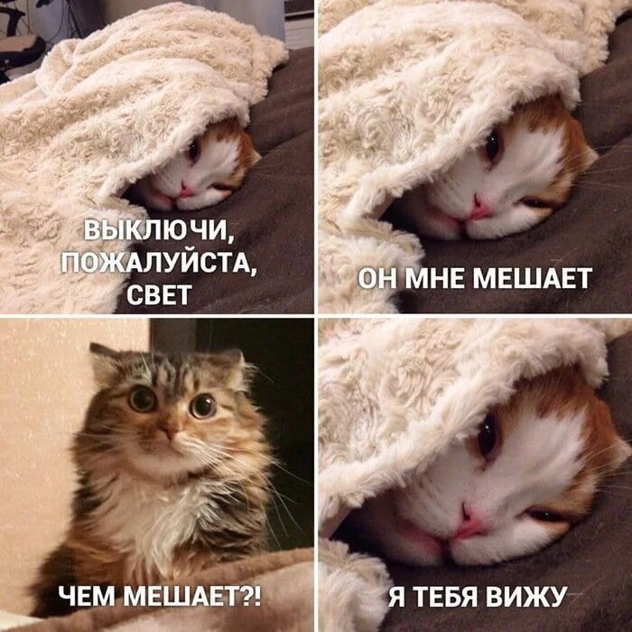 ВЫКЛЮЧИ, ПОЖАЛУЙСТА, СВЕТ ОН МНЕ МЕШАЕТ ЧЕМ МЕШАЕТ?! <br /> Я ТЕБЯ ВИЖУ <br /><br /> Описание картинки: <br /> Диалог мужчины и женщины о свете и видимости.