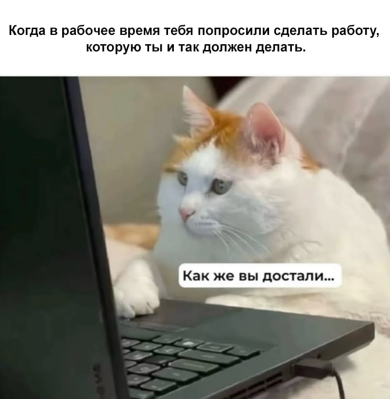 Когда в рабочее время тебя попросили сделать работу, которую ты и так должен делать. Как же вы достали…

Описание картинки:
Человек в офисе выражает недовольство из-за повторной просьбы выполнить работу.