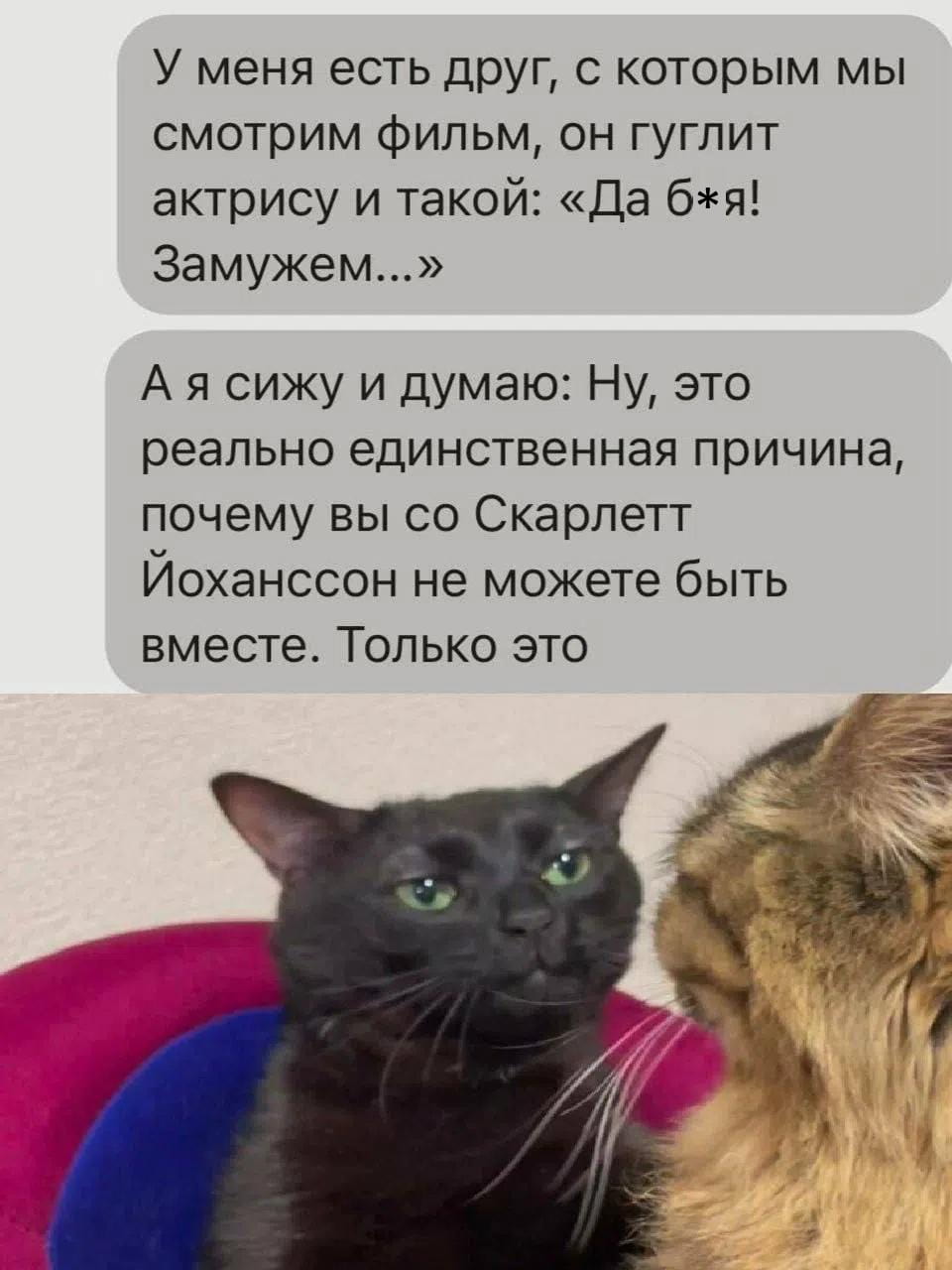 У меня есть друг, с которым мы смотрим фильм, он гуглит актрису и такой: «Да б*я! Замужем…» А я сижу и думаю: Ну, это реально единственная причина, почему вы со Скарлетт Йоханссон не можете быть вместе. Только это

Описание картинки:
Парень смотрит фильм, гуглит актрису и расстраивается из-за её свадьбы