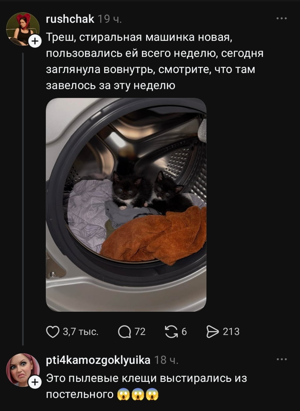 Треш, стиральная машинка новая, пользовались ей всего неделю, сегодня заглянула вовнутрь, смотрите, что там завелось за эту неделю

Это пылевые клещи выстирались из постельного 😱😱

Описание картинки:
Внутри стиралки завелись неожиданные «помощники».