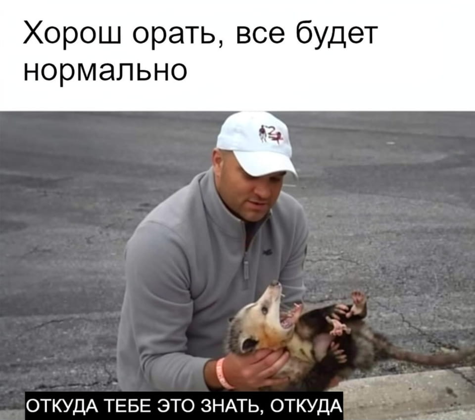 Хорошо орать, все будет нормально 
ОТКУДА ТЕБЕ ЭТО ЗНАТЬ, ОТКУДА 
Описание картинки: 
Текстовый диалог из двух реплик, без изображения персонажей.