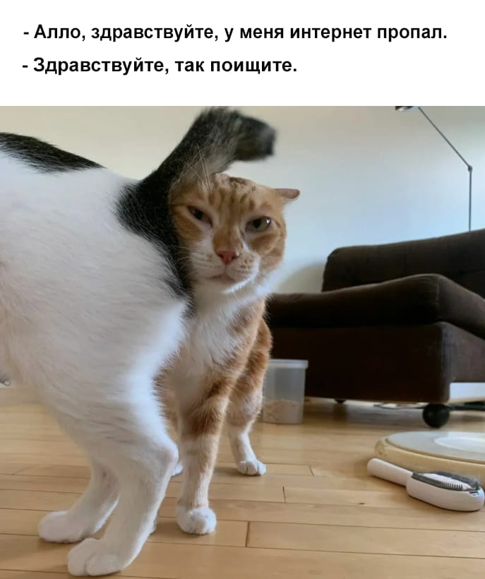 — Алло, здравствуйте, у меня интернет пропал. <br /> — Здравствуйте, так поищите. <br /><br /> Описание картинки: <br /> Разговор между клиентом и оператором о проблемах с интернетом.