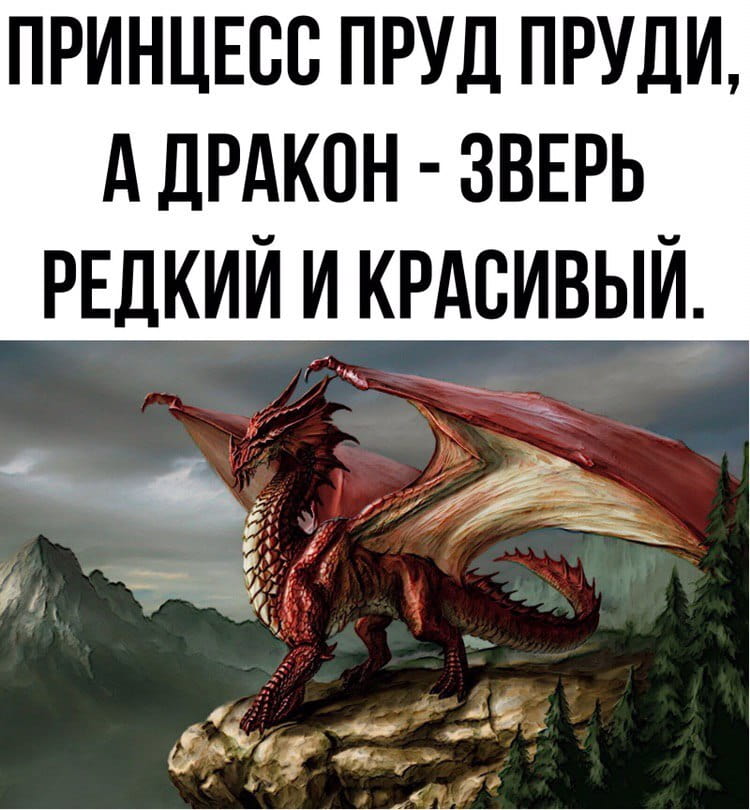 ПРИНЦЕСС ПРУД ПРУДИ, А ДРАКОН — ЗВЕРЬ РЕДКИЙ И КРАСИВЫЙ. <br /><br /> Описание картинки: <br /> Принцесса решает, что дракон — это не только миф.