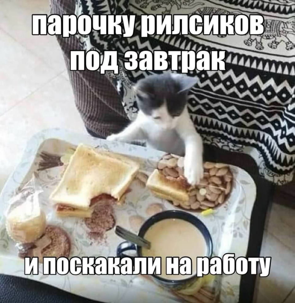 Парочку рилсиков под завтрак и поскакали на работу <br /><br /> Описание картинки: <br /> Человек завтракает и смотрит рилсы перед выходом на работу.