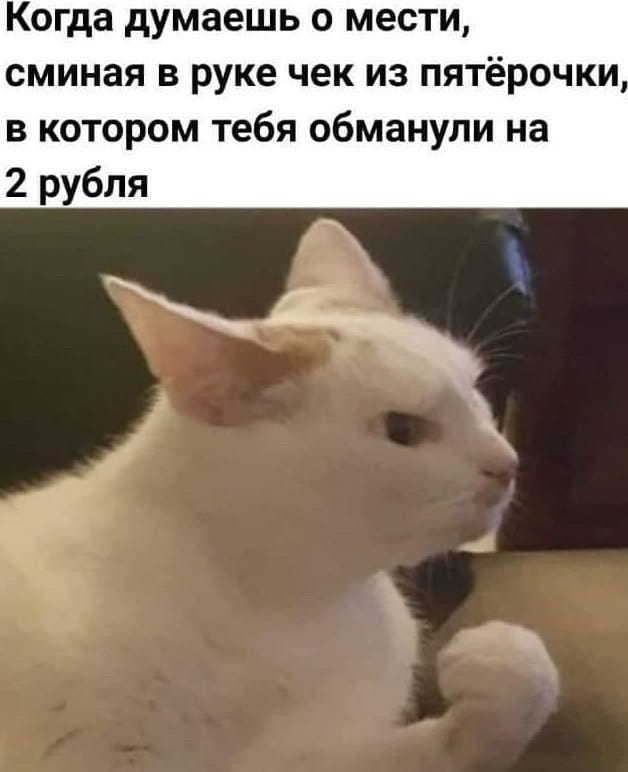 Когда думаешь о мести, сжимая в руке чек из пятёрочки, в котором тебя обманули на 2 рубля

Описание картинки:
Чек из магазина с суммой, вызывающей недовольство.