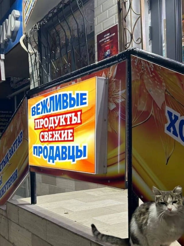 ВЕЖЛИВЫЕ ПРОДУКТЫ СВЕЖИЕ ПРОДАВЦЫ <br /><br /> Описание картинки: <br /> Текстовая надпись: «ВЕЖЛИВЫЕ ПРОДУКТЫ СВЕЖИЕ ПРОДАВЦЫ». | Фото | MEME | Картинки с текстом