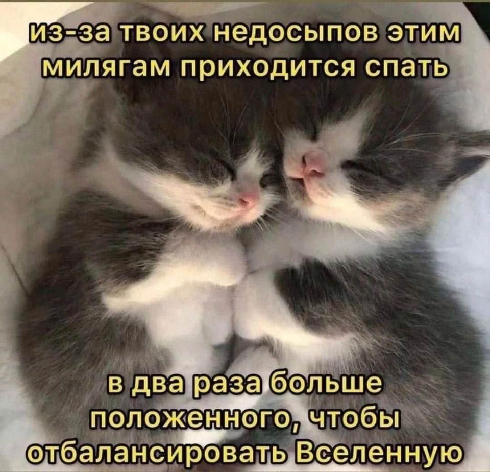 Из-за твоих недосыпов этим милягам приходится спать в два раза больше положенного, чтобы отбалансировать Вселенную <br /><br /> Описание картинки: <br /> Текст: «из-за твоих недосыпов этим милягам приходится спать в два раза больше положенного, чтобы отбалансировать Вселенную