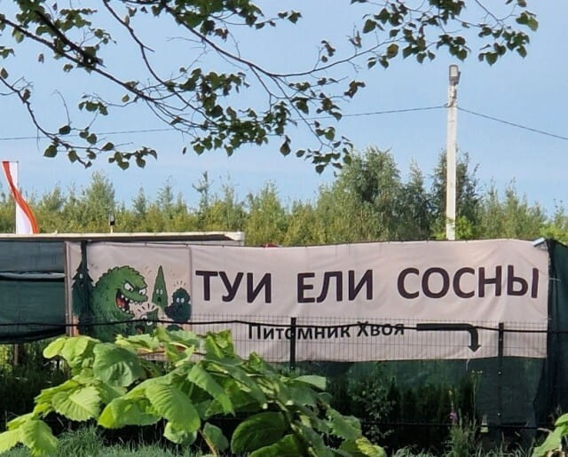 ТУИ ЕЛИ СОСНЫ Питомник Хвоя <br /><br /> Описание картинки: <br /> Текстовая надпись на вывеске питомника с игрой слов. | Фото | MEME | Картинки с текстом