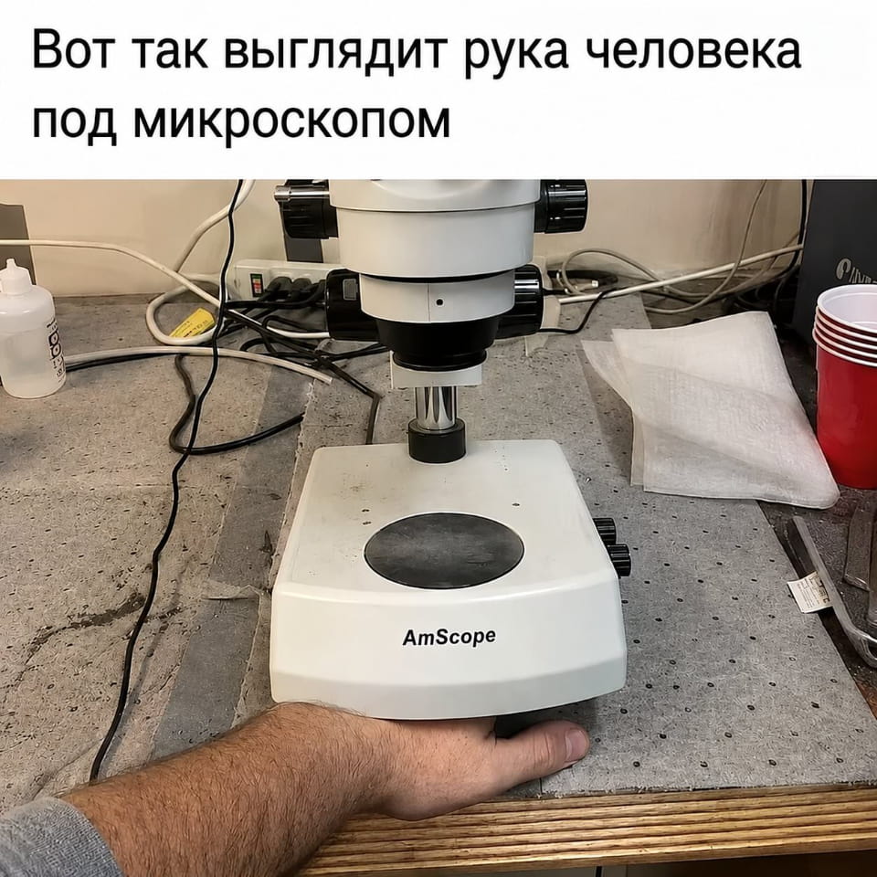 Вот так выглядит рука человека под микроскопом <br /><br /> Описание картинки: <br /> Руки человека под микроскопом, показывающее детали кожи.