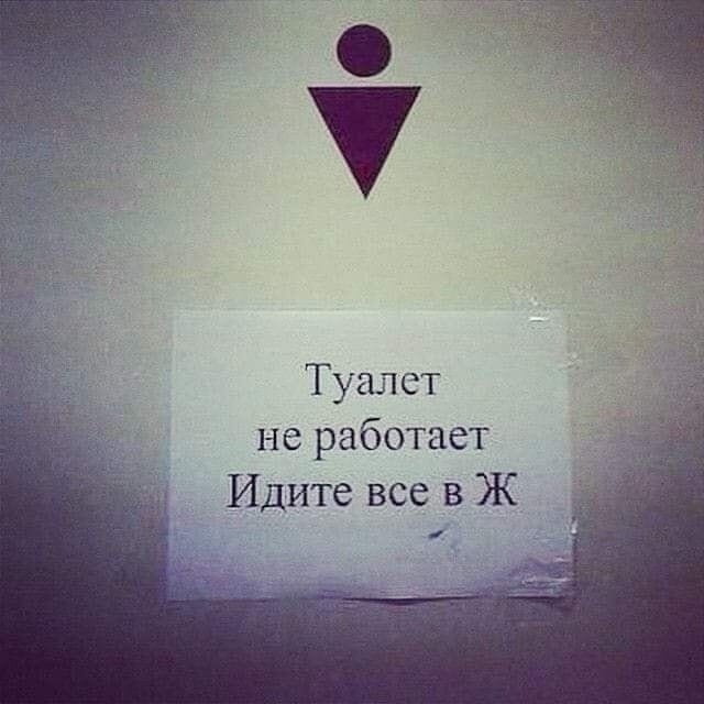 Туалет не работает Идите все в Ж <br /><br /> Описание картинки: <br /> Текстовое объявление о неработающем туалете с призывом «Идите все в Ж». | Работа