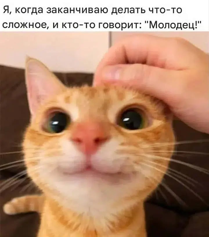 Я, когда заканчиваю делать что-то сложное, и кто-то говорит: «Молодец!» <br /><br /> Описание картинки: <br /> Текстовый мем. На картинке человек, заканчивающий сложное дело.