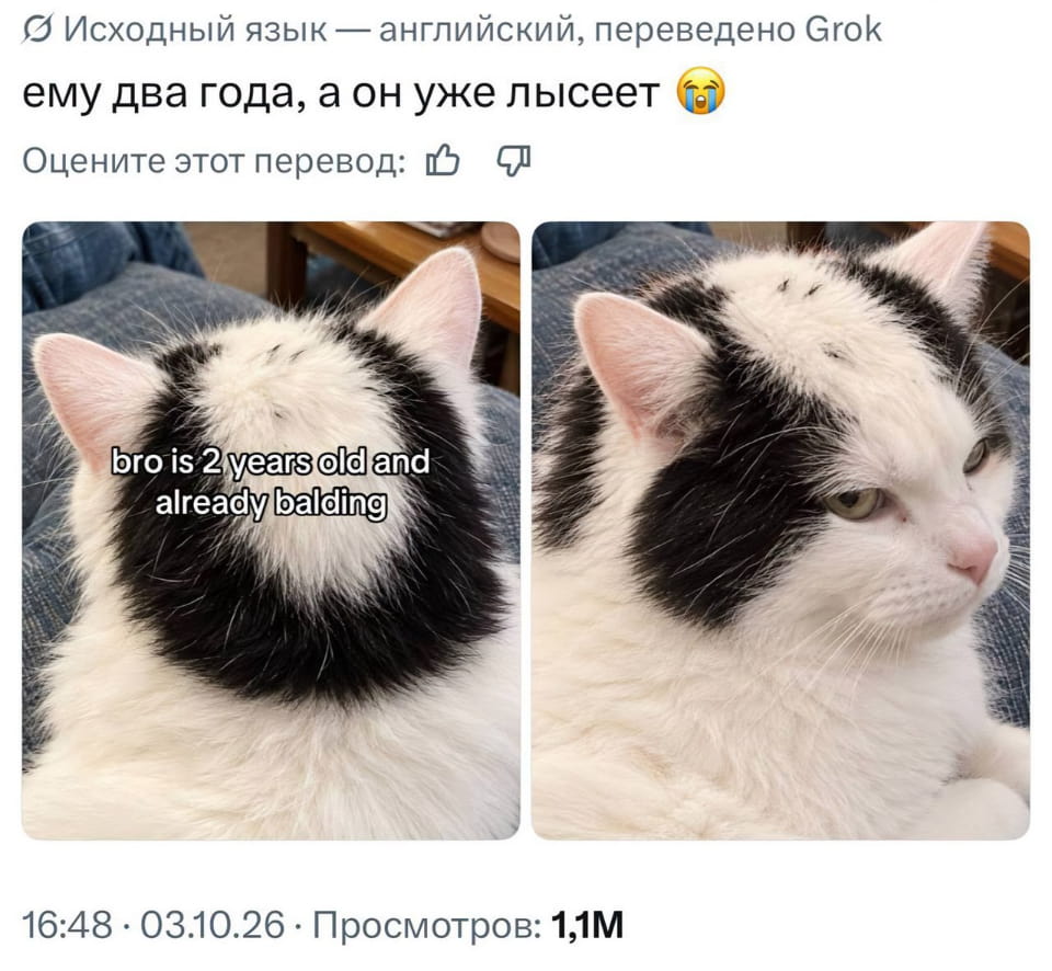 Ему два года, а он уже лысеет bro is 2 years old and already balding

Описание картинки:
Малыш с лысиной, родители обсуждают его возраст и лысину.