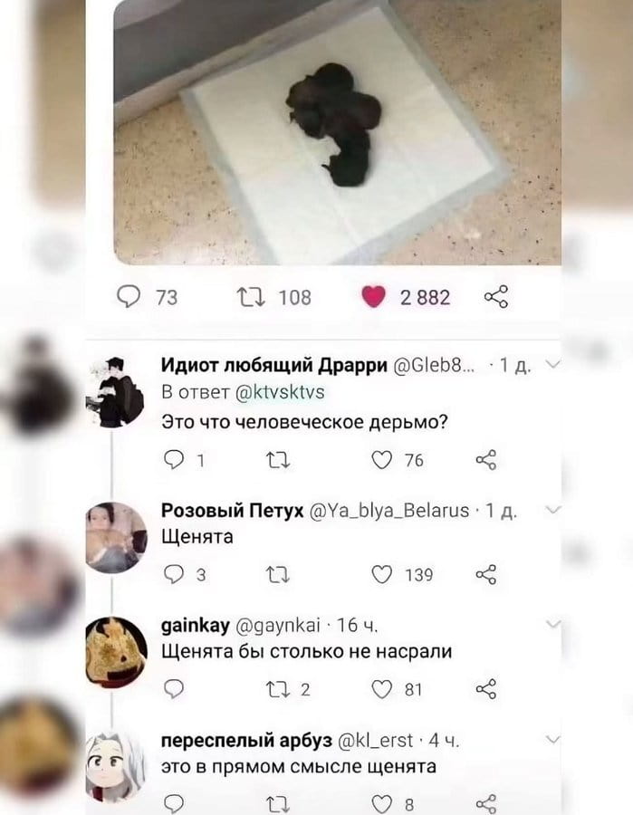 Идиот любящий Драрри @Gleb8… 1 д. <br /> Щенята Щенята бы столько не насрали это в прямом смысле щенята <br /><br /> Описание картинки: <br /> Переписка двух пользователей в комментариях, обсуждение количества фекалий.