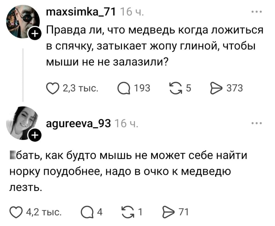 Правда ли, что медведь когда ложиться в спячку, затыкает жопу глиной, чтобы мыши не не залазили? <br />*бать, как будто мышь не может себе найти норку поудобнее, надо в очко к медведю лезть. <br /><br />Описание картинки: <br />Текстовый диалог, вопрос о медведе и мышах, ироничный ответ.