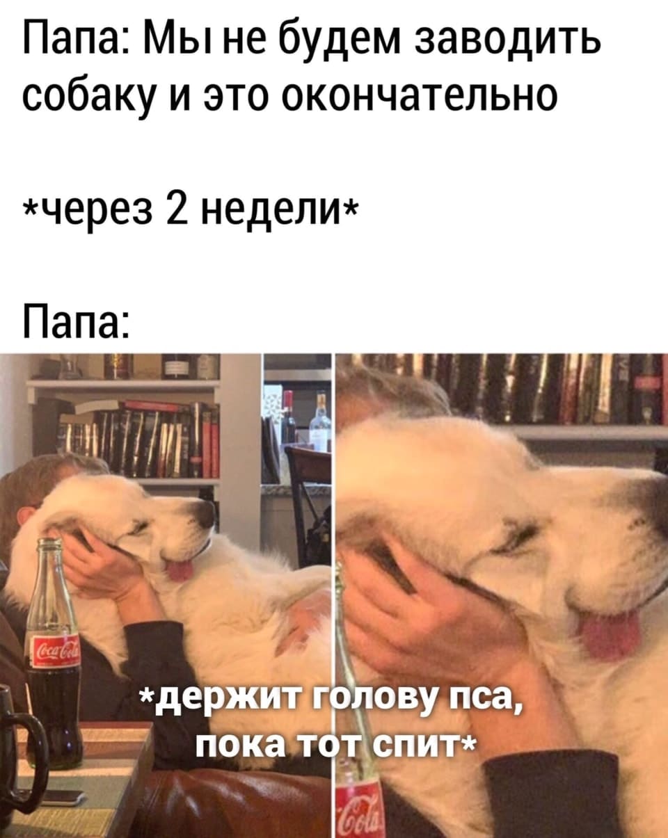 Папа: Мы не будем заводить собаку и это окончательно *через 2 недели* Папа:
*держит голову пса, пока тот спит*
Описание картинки:
Папа держит спящую собаку на руках, выглядит привязанно.