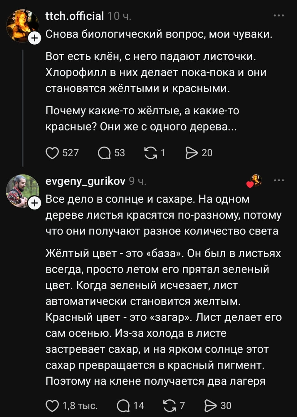 Снова биологический вопрос, мои чуваки. <br /> Вот есть клён, с него падают листочки. Хлорофилл в них делает пока-пока и они становятся жёлтыми и красными. Почему какие-то жёлтые, а какие-то красные? Они же с одного дерева… <br /> Все дело в солнце и сахаре. На одном дереве листья красятся по-разному, потому что они получают разное количество света Жёлтый цвет — это «база». Он был в листьях всегда, просто летом его прятал зелёный цвет. Когда зелёный исчезает, лист автоматически становится жёлтым. Красный цвет — это «загар». Лист делает его сам осенью. Из-за холода в листе застревает сахар, и на ярком солнце этот сахар превращается в красный пигмент. Поэтому на клене получается два лагеря <br /><br /> Описание картинки: <br /> Биологическое объяснение, почему листья клёна осенью бывают жёлтыми и красными.