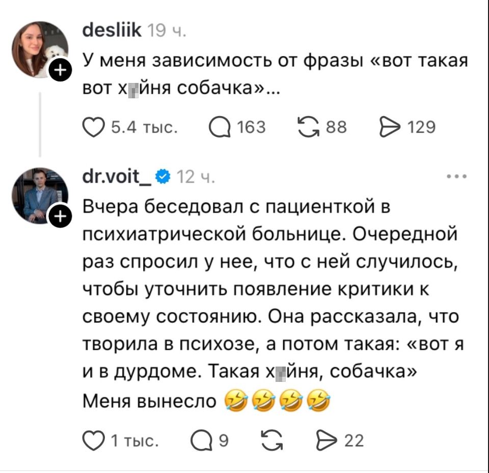 У меня зависимость от фразы «вот такая вот х*йня собачка»… <br /> Вчера беседовал с пациенткой в психиатрической больнице. Очередной раз спросил у неё, что с ней случилось, чтобы уточнить появление критики к своему состоянию. Она рассказала, что творила в психозе, а потом такая: «вот я и в дурдоме. Такая х*йня, собачка» Меня вынесло 😂😂 <br /><br /> Описание картинки: <br /> Пациентка в психиатрической больнице делится своим опытом в психозе.