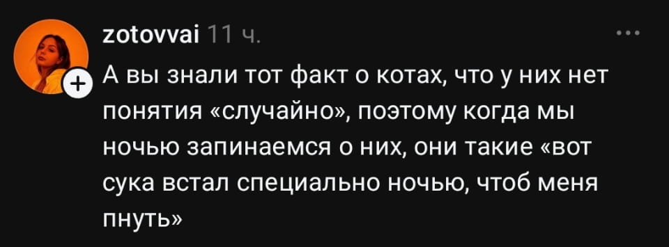 А вы знали тот факт о котах, что у них нет понятия «случайно», поэтому когда мы ночью запинаемся о них, они такие «вот сука встал специально ночью, чтобы меня пнуть» <br /><br /> Описание картинки: <br /> Текстовый анекдот о котах и их восприятии случайностей.