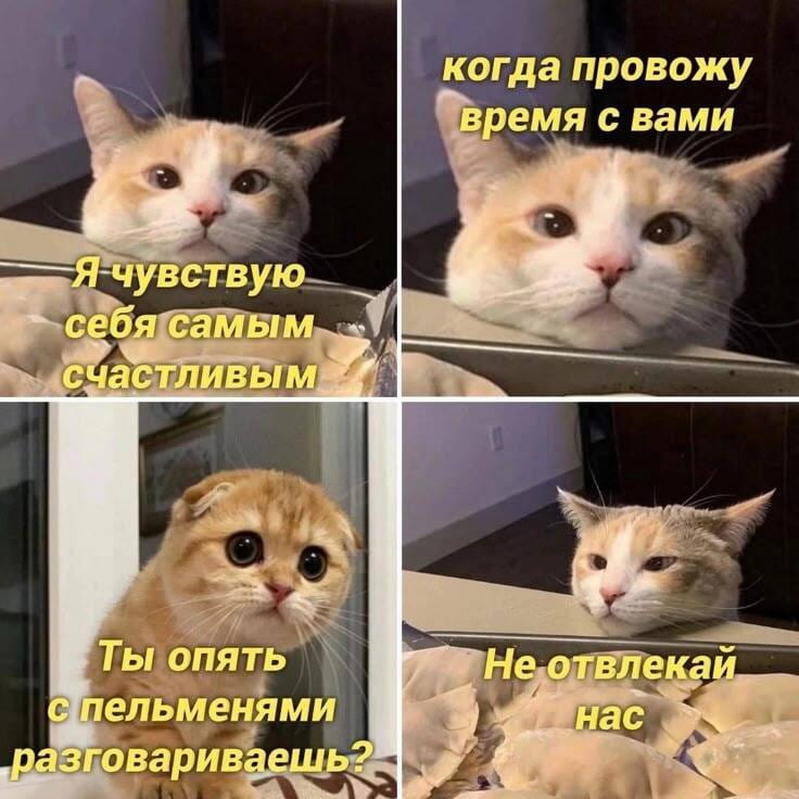Я чувствую себя самым счастливым когда провожу время с вами Ты опять с пельменями разговариваешь? 
Не отвлекай нас 
Описание картинки: 
Друзья обсуждают общение с пельменями, не замечая друг друга. | Жизненное