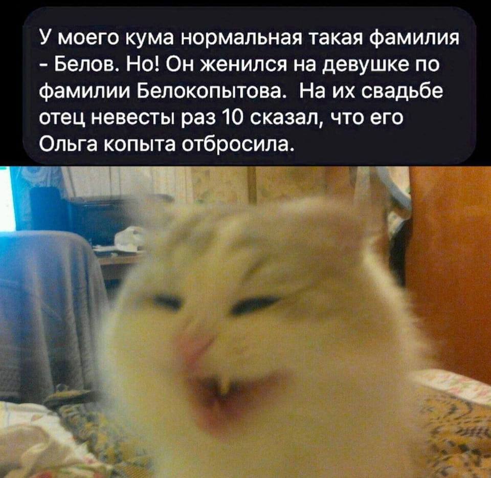У моего кума нормальная такая фамилия 
Белов. Но! Он женился на девушке по фамилии Белокопытова. 
На их свадьбе отец невесты раз 10 сказал, что его Ольга копыта отбрасывала. 
Описание картинки: 
Текстовая переписка с анекдотом про фамилии и свадьбу.