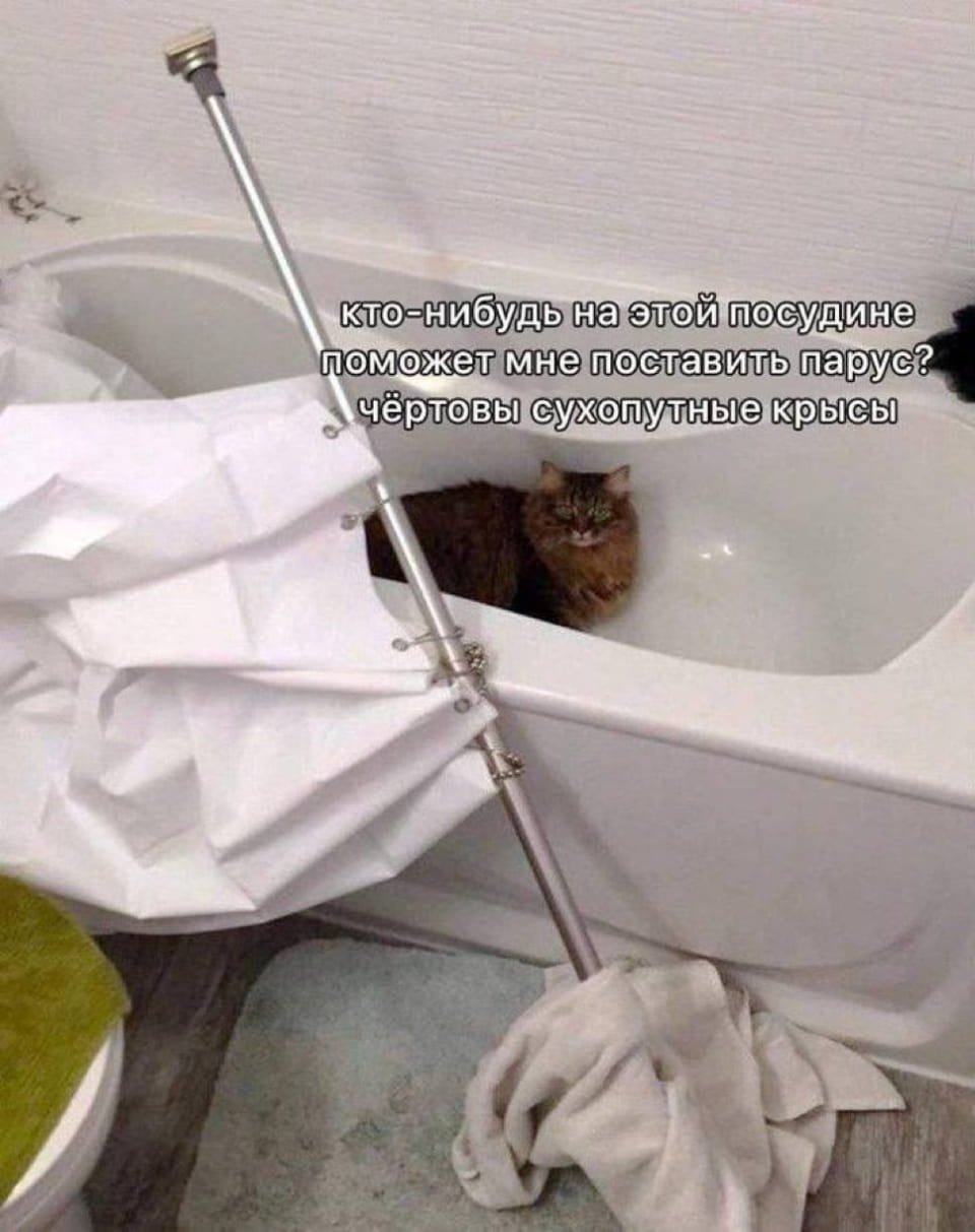 Кто-нибудь на этой посудине поможет мне поставить парус? чёртовы сухопутные крысы <br />Описание картинки: <br />Человек просит помощи с парусом, называя окружающих «сухопутными крысами».