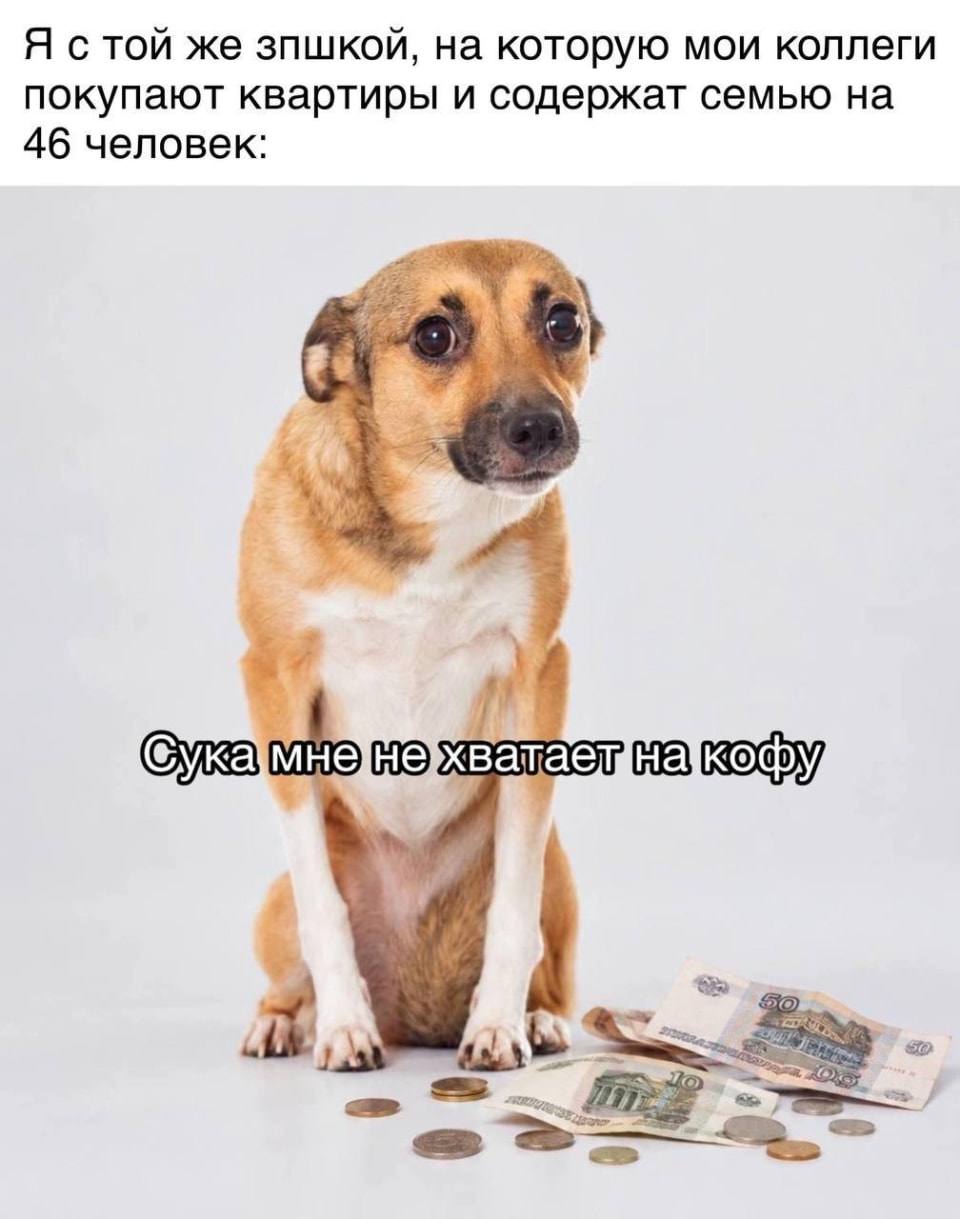 Я с той же зпшкой, на которую мои коллеги покупают квартиры и содержат семью на 46 человек: 
Сука мне не хватает на кофу 
Описание картинки: 
Человек жалуется на нехватку денег на кофе при стабильной зарплате.